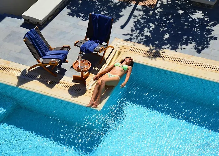 プレイアデス エコ ハウスィズ Vóthon